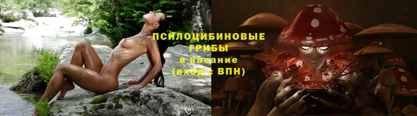твердый Алзамай