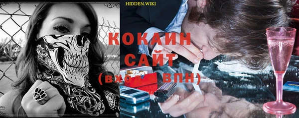 винт Каменка