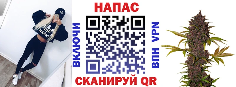 МАРИХУАНА конопля  Нестеров 